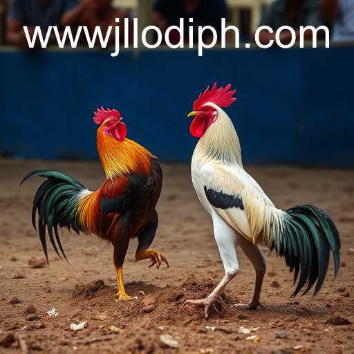 Exploring the Thrilling World of Sabong Games with JL LODI PH